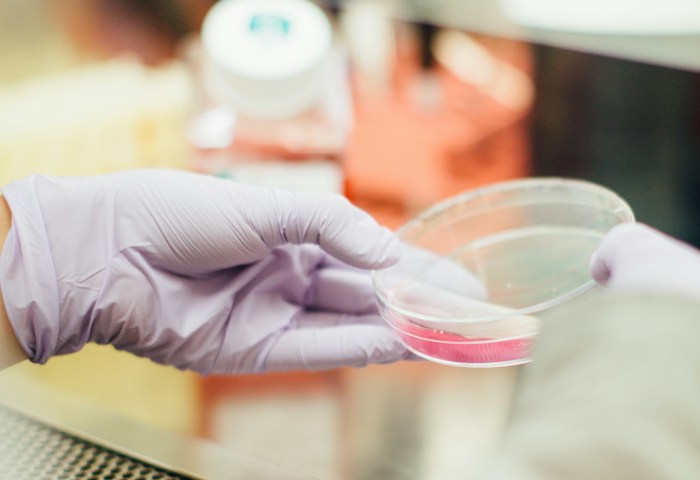 Life Sciences